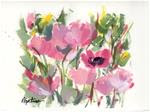 Pink Poppy Graphic - Posted on Saturday, December 27, 2014 by Pamela Gatens