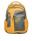 Flat 40% off on select American Tourister Casual Backpacks