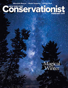 Cover of the February 2017 issue of Conservationist Magazine