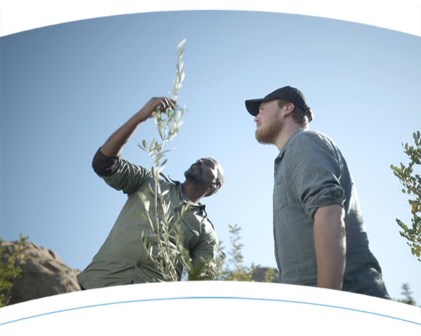 Two men looking at a plant