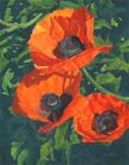 Red Poppies Three - Posted on Wednesday, December 31, 2014 by Lynne Reichhart
