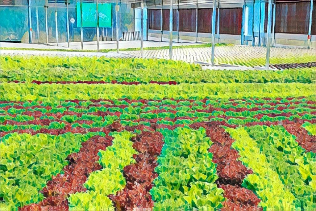 Fazenda urbana BeGreen cresce 300% na pandemia e vai ganhar o Brasil em 22