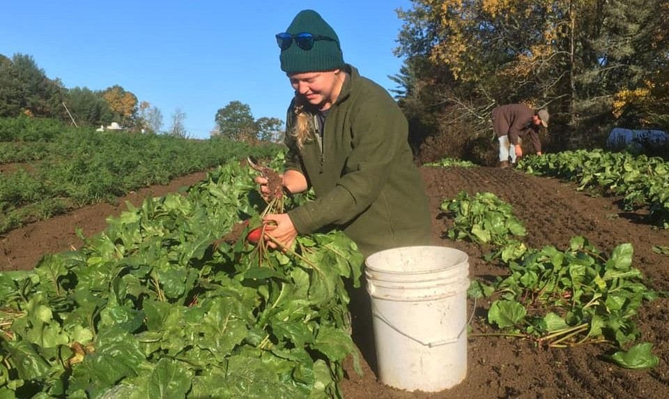 Neighbors are helping keep this family farm alive Neighbors are helping keep this family farm alive
