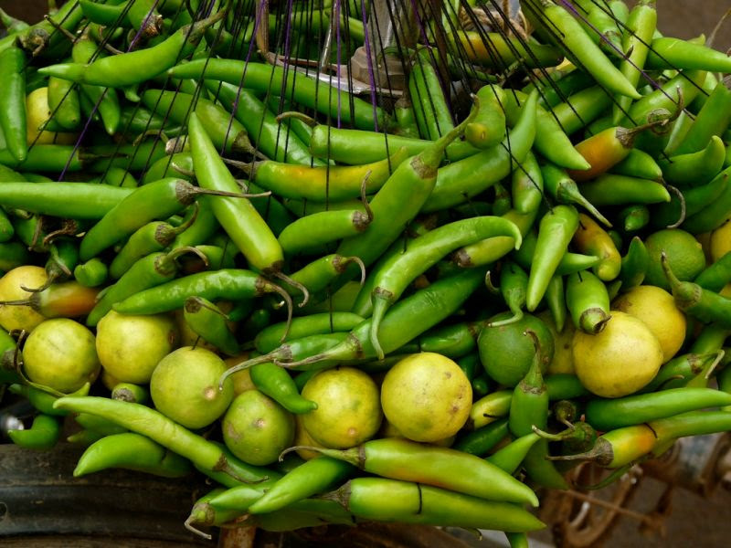 PunjabKesari, nimbu mirchi, black magic