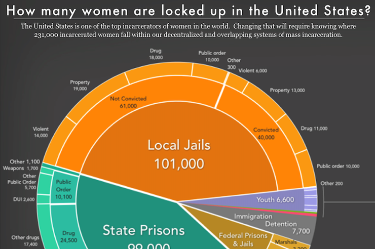 women's incarceration chart preview