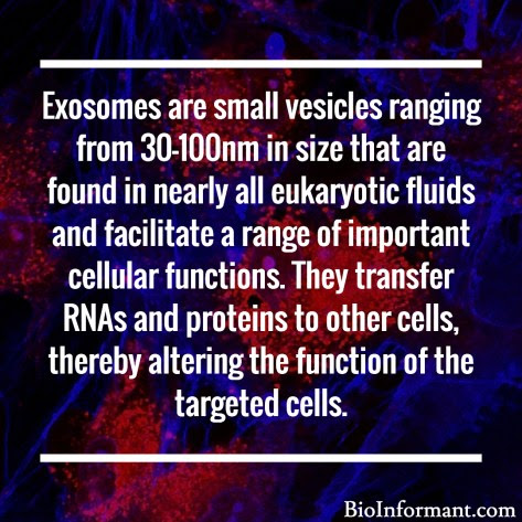 What are Exosomes? | Exosome Definition