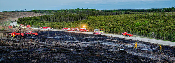 A wide shows firefighters on a blaze in the Atlanta Forest Management Unit.