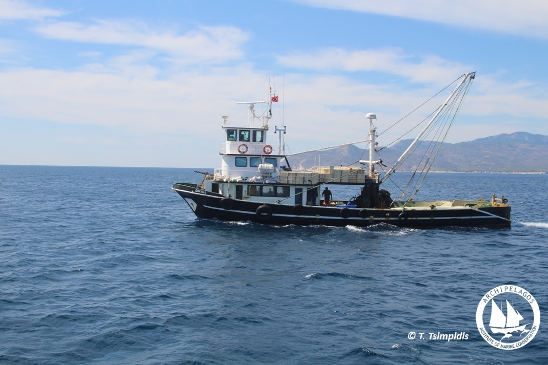 turkish trawler 1 LOGO