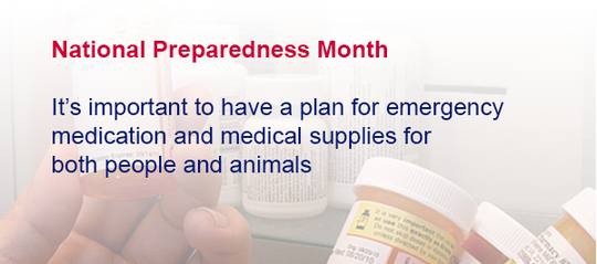 National Preparedness Month - It's important to have a plan