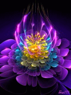 https://s-media-cache-ak0.pinimg.com/originals/5c/e4/e5/5ce4e509c81162f00b28c466ada4d021.gif