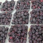 Expect black and red raspberries at the Bushel Basket Farmers Market on Wednesday.