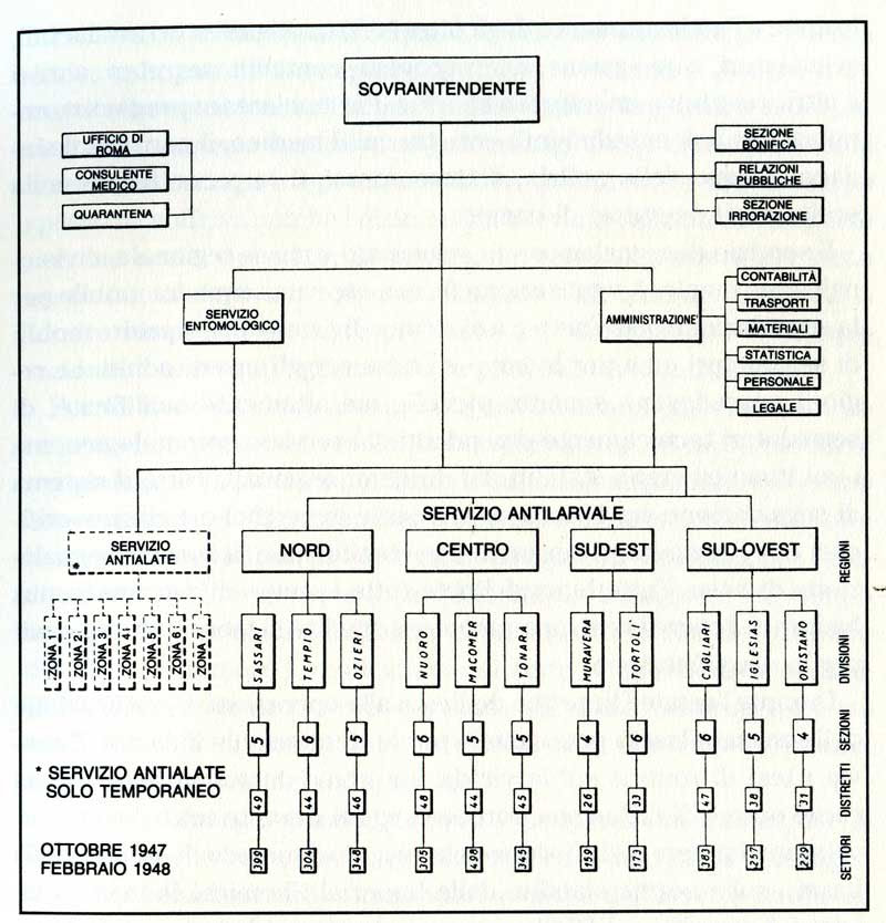 Schema dell’organizzazione messa a punto da J. Logan