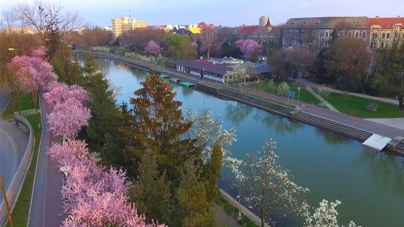 canalul-bega-primavaraa-la-timisoara-flora