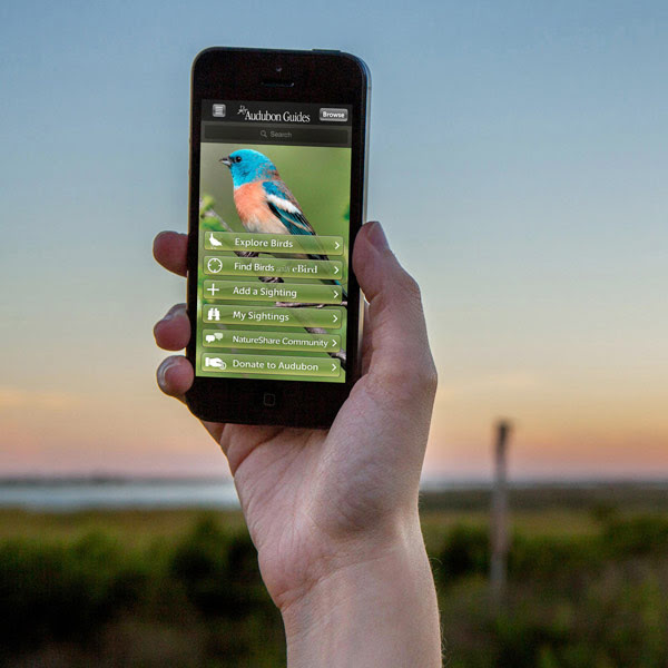 Audubon Bird Guide app