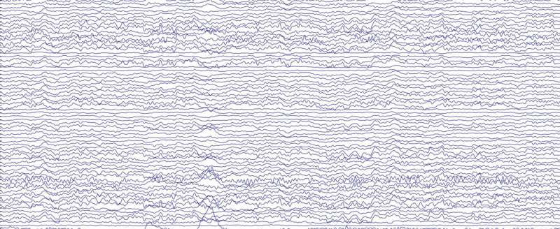 Tuning into brainwave rhythms speeds up learning in adults, study finds