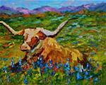 Longhorn in Bluebonnets - Posted on Monday, February 9, 2015 by Liz Zornes