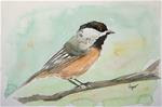 Chickadee - Posted on Thursday, March 26, 2015 by Omur Ozgur