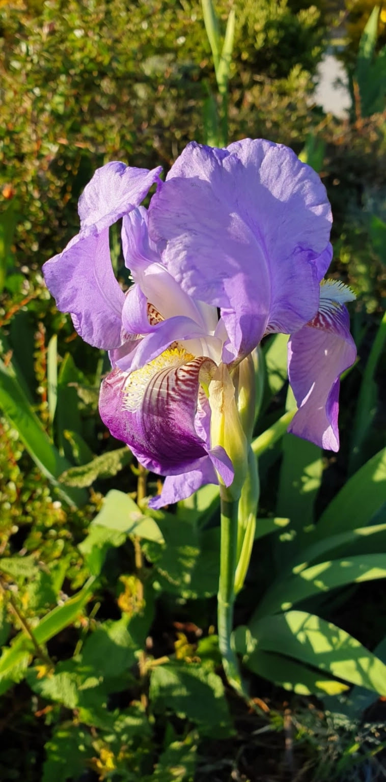 Азия. Вторник. Азия. Вторник.