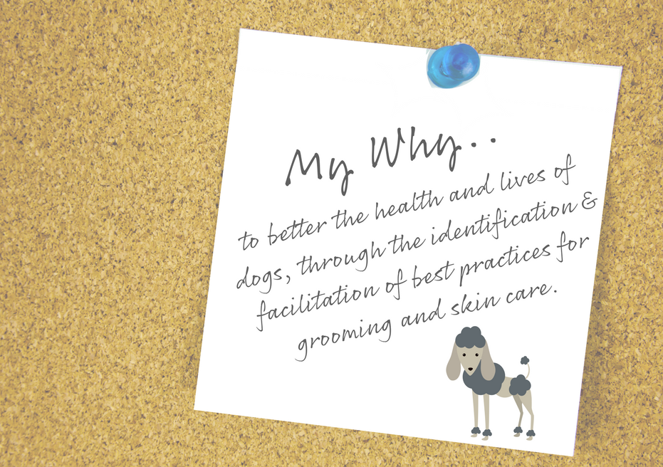 to better the health and lives of dogs, through the identification & facilitation of best practices for grooming and skin care. (1).png
