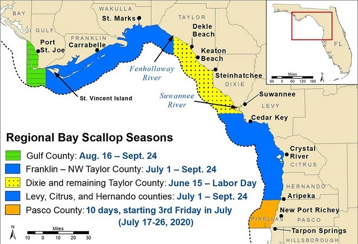 Scallop season 2020 map
