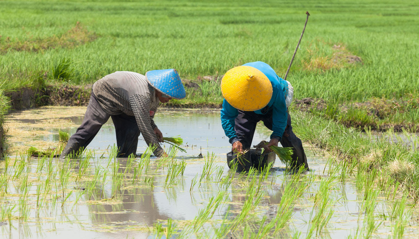 World Wetlands Day