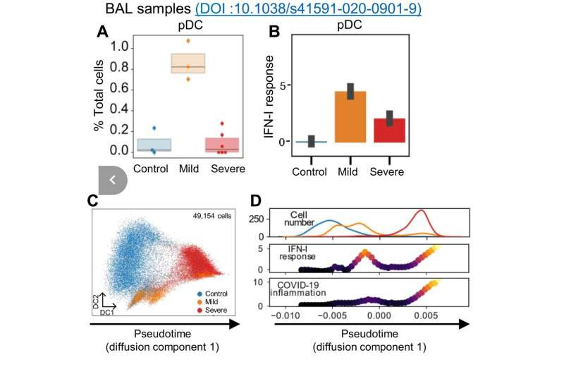 Scientists discover a novel mechanism leading to the inflammatory cytokine storm in COVID-19