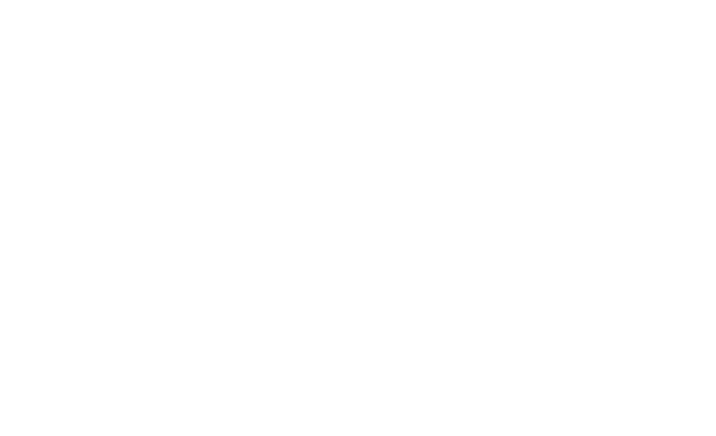 logo LIUC