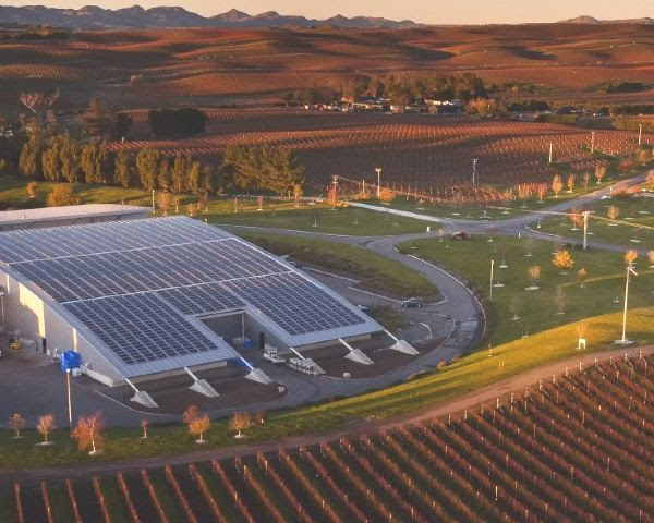 Yealands Estate in the foothills of the Awatere Valley