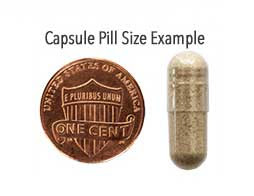 Capsule pill size example - pill and U.S. penny