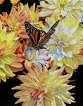 Butterfly and Dahlias - Posted on Tuesday, December 16, 2014 by Catherine Al-Rubaie