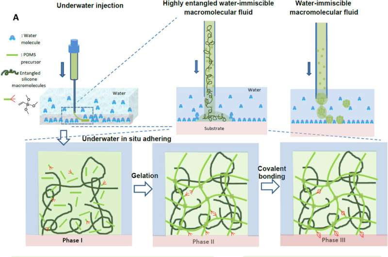 'Bio-glue' could mean end to surgical sutures, staples