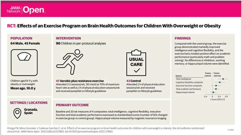 Schoolchildren who exercise are smarter and perform better academically