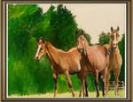 The Three Horses (12" x 16" oil on canvas sheet - no frame) - Posted on Tuesday, March 31, 2015 by Ramon DelRosario