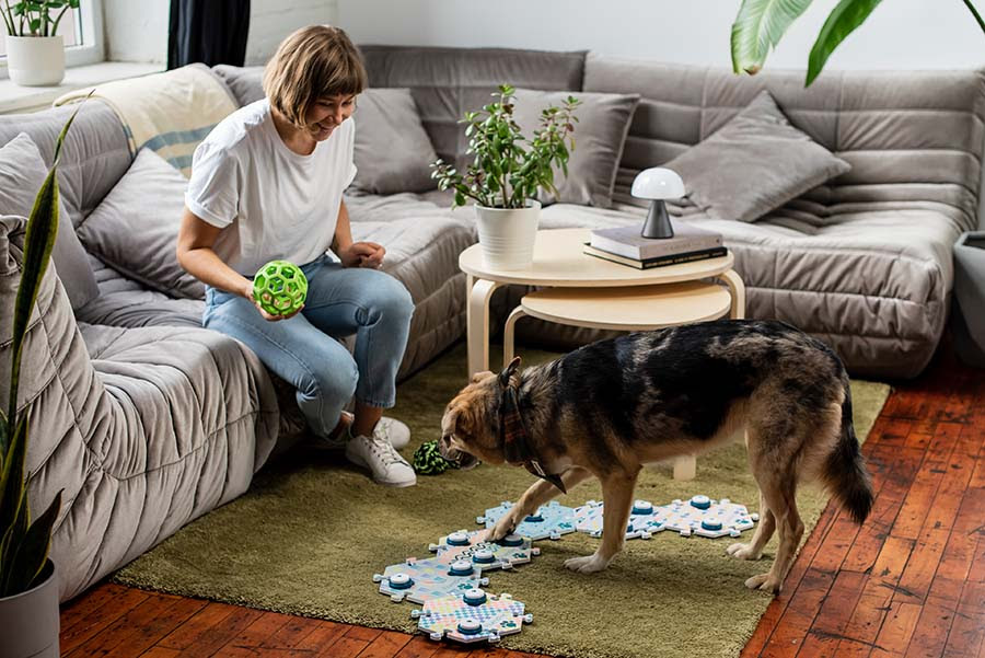 A pesar de que vivimos con perros durante más de 10.000 años, sólo en los últimos 20 hemos empezado a tener una idea de su potencial real para el aprendizaje de idiomas.