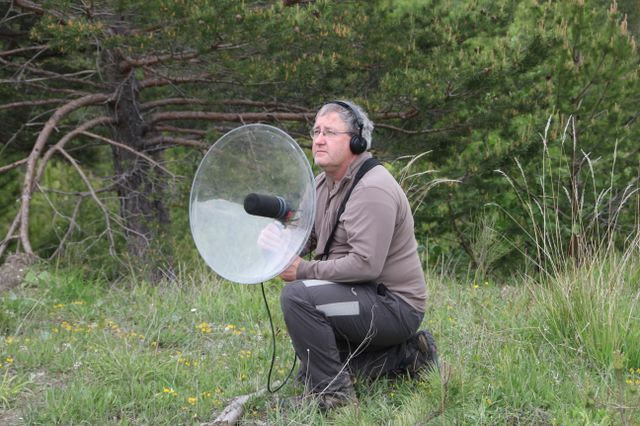L’audio-naturaliste écoute la nature à Val-Maravel, Drôme