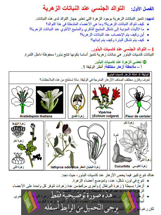 درس علوم الحياة والأرض: التوالد الجنسي عند النباتات الزهرية – جذع مشترك علوم Anabatat-azahria