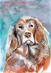 5x7 Sad Old Dog Pet Portrait Watercolor, Pen and Ink by Penny Lee StewArt - Posted on Sunday, January 25, 2015 by Penny Lee StewArt