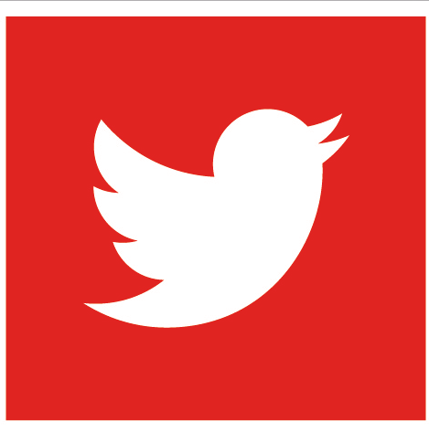 Twitter Flat Red