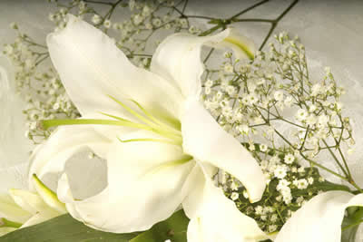 white-flower-arrangement.jpg