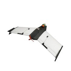 CK Wing EPP Carbon Fiber 840mm Wingspan RC Airplane