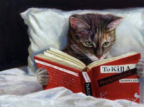 read-cat-in-bed