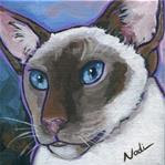 Siamese - Posted on Tuesday, January 6, 2015 by Nadi Spencer