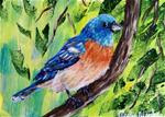 Lazuli Bunting - Posted on Tuesday, February 10, 2015 by Cecelia Blenker