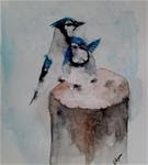 Original Watercolor Painting- "Blue Jays" - Posted on Friday, January 9, 2015 by James Lagasse