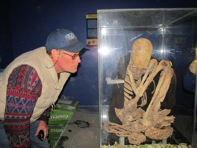 Are These Skeletons Human? Sddefault