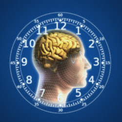 human brain body clock wallpaper