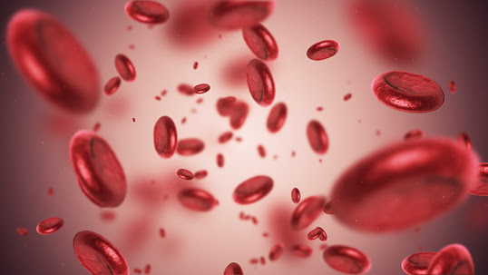imagen de glóbulos rojos en el torrente sanguíneo