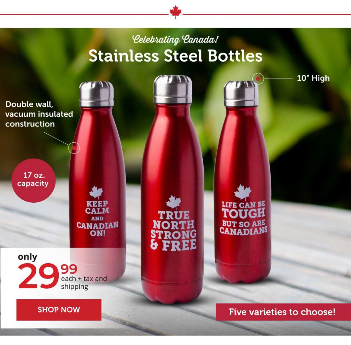 Stainless Steel Bottles