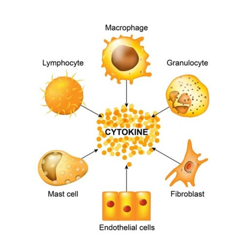 DT 412 CYTOKINE STORM (2)