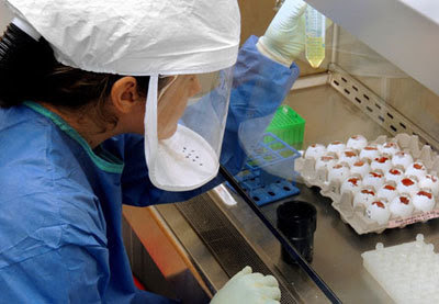 Clinician working on flu vaccine